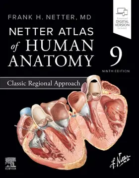 Netter Atlas of Human Anatomy: Classic Regional Approach | Buch | 978-0-443-11868-5 | sack.de