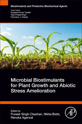 Chauhan / Bisht / Agarwal | Microbial Biostimulants for Plant Growth and Abiotic Stress Amelioration | Buch | 978-0-443-13318-3 | sack.de
