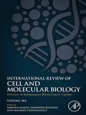 Manai / Cristofanilli / Boussen |  Overview of Inflammatory Breast Cancer: Updates | eBook | Sack Fachmedien