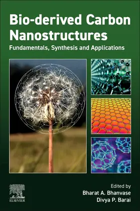 Bhanvase / Barai |  Bio-derived Carbon Nanostructures | Buch |  Sack Fachmedien
