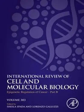 Spada / Galluzzi |  Epigenetic Regulation of Cancer - Part B | eBook | Sack Fachmedien