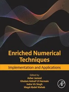 Jameel / Ul Harmain / Singh | Enriched Numerical Techniques | E-Book | www2.sack.de