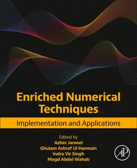 Jameel / Ul Harmain / Singh |  Enriched Numerical Techniques | Buch |  Sack Fachmedien