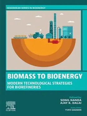 Nanda / Dalai |  Biomass to Bioenergy | eBook | Sack Fachmedien