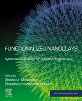 Mallakpour / Mustansar Hussain |  Functionalized Nanoclays | eBook | Sack Fachmedien