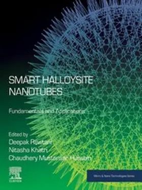Rawtani / Khatri / Mustansar Hussain |  Smart Halloysite Nanotubes | eBook | Sack Fachmedien