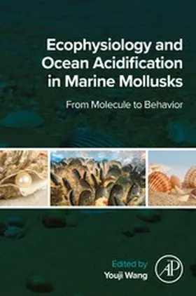 Wang | Ecophysiology and Ocean Acidification in Marine Mollusks | E-Book | sack.de