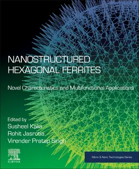 Kalia / Jasrotia / Pratap Singh | Nanostructured Hexagonal Ferrites | Buch | 978-0-443-18537-3 | sack.de