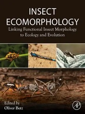 Betz | Insect Ecomorphology | E-Book | sack.de