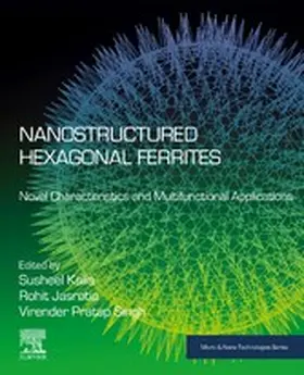 Kalia / Jasrotia / Pratap Singh |  Nanostructured Hexagonal Ferrites | eBook | Sack Fachmedien