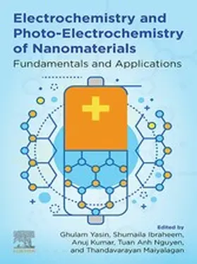 Yasin / Ibraheem / Kumar |  Electrochemistry and Photo-Electrochemistry of Nanomaterials | eBook | Sack Fachmedien