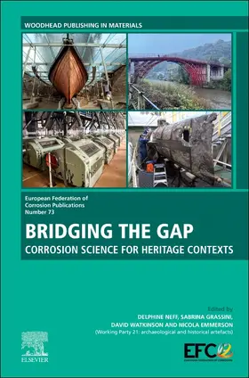 Grassini / Watkinson / Emmerson |  Bridging the Gap | Buch |  Sack Fachmedien