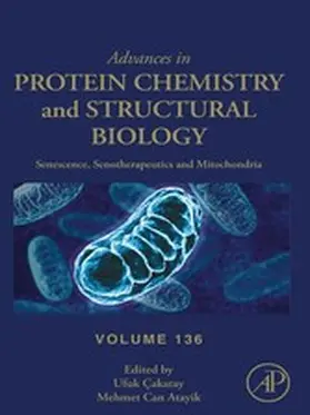 Cakatay |  Senescence, Senotherapeutics and Mitochondria | eBook | Sack Fachmedien