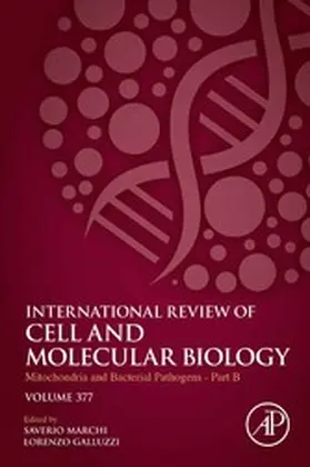 Galluzzi / Marchi |  Mitochondria and Bacterial Pathogens - Part B | eBook | Sack Fachmedien