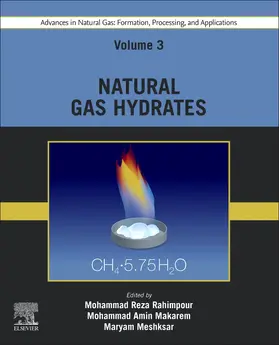 Rahimpour / Makarem / Meshksar |  Advances in Natural Gas: Formation, Processing, and Applications. Volume 3: Natural Gas Hydrates | Buch |  Sack Fachmedien