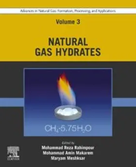 Rahimpour / Makarem / Meshksar | Advances in Natural Gas: Formation, Processing, and Applications. Volume 3: Natural Gas Hydrates | E-Book | sack.de