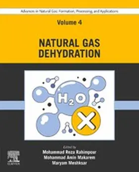 Rahimpour / Makarem / Meshksar |  Advances in Natural Gas: Formation, Processing, and Applications. Volume 4: Natural Gas Dehydration | eBook | Sack Fachmedien
