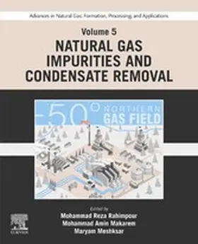 Rahimpour / Makarem / Meshksar | Advances in Natural Gas: Formation, Processing, and Applications. Volume 5: Natural Gas Impurities and Condensate Removal | E-Book | sack.de