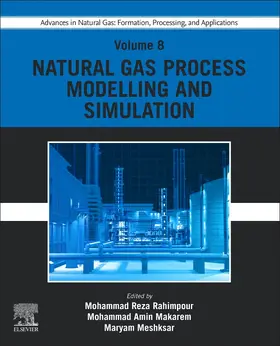 Rahimpour / Makarem / Meshksar |  Advances in Natural Gas: Formation, Processing, and Applications. Volume 8: Natural Gas Process Modelling and Simulation | Buch |  Sack Fachmedien
