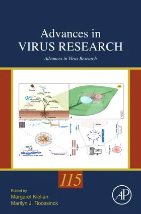 Kielian / Roossinck | Advances in Virus Research | Buch | 978-0-443-19356-9 | sack.de
