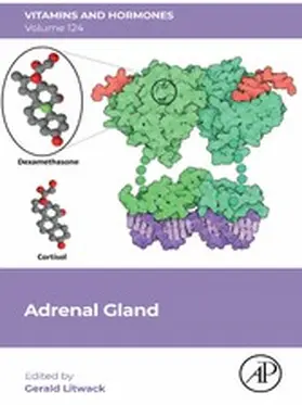 Litwack | Adrenal Gland | E-Book | sack.de