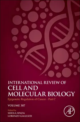  Epigenetic Regulation of Cancer-Part C | Buch |  Sack Fachmedien