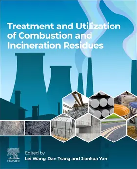 Wang / Tsang / Yan |  Treatment and Utilization of Combustion and Incineration Residues | Buch |  Sack Fachmedien