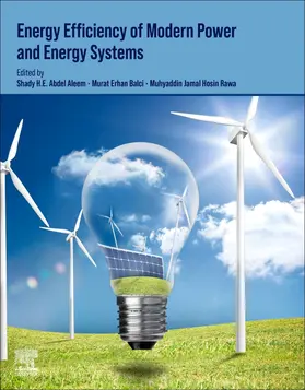 Abdel Aleem / Erhan Balci / Rawa |  Energy Efficiency of Modern Power and Energy Systems | Buch |  Sack Fachmedien