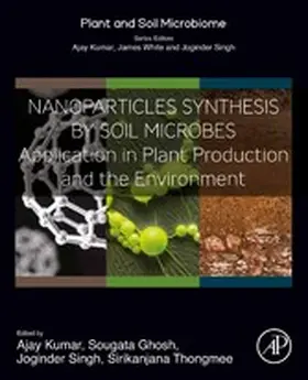 Kumar / Ghosh / Panwar |  Nanoparticles Synthesis by Soil Microbes | eBook | Sack Fachmedien