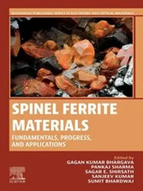 Bhargava / Sharma / E Shirsath |  Spinel Ferrite Materials | eBook | Sack Fachmedien
