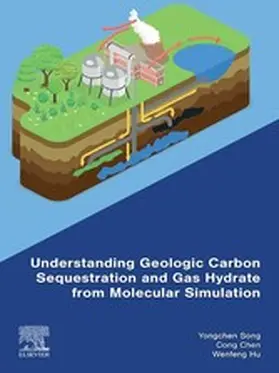 Song / Chen / Hu | Understanding Geologic Carbon Sequestration and Gas Hydrate from Molecular Simulation | E-Book | sack.de
