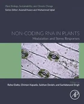 Datta / Kapadia / Danish | Non-coding RNA in Plants | E-Book | sack.de