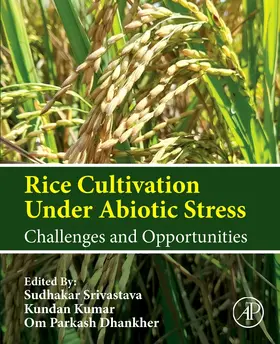 Srivastava / Kumar / Dhankher |  Rice Cultivation Under Abiotic Stress | Buch |  Sack Fachmedien