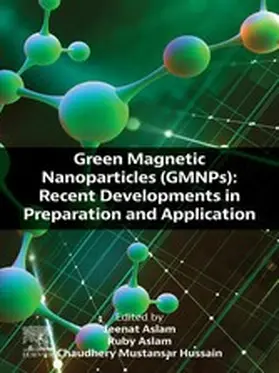 Aslam / Mustansar Hussain | Green Magnetic Nanoparticles (GMNPs) | E-Book | sack.de