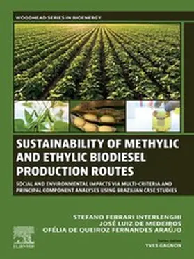 Interlenghi / de Medeiros / Fernandes Araújo |  Sustainability of Methylic and Ethylic Biodiesel Production Routes | eBook | Sack Fachmedien