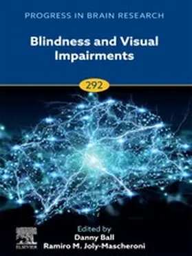 Ball |  Blindness and Visual Impairments | eBook | Sack Fachmedien