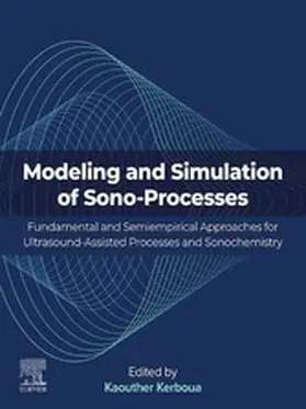 Kerboua | Modeling and Simulation of Sono-Processes | E-Book | sack.de