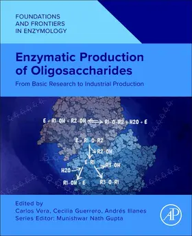 Vera / Guerrero / Illanes |  Enzymatic Production of Oligosaccharides | Buch |  Sack Fachmedien