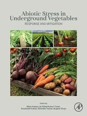 Kumar Lal / Kumar Tiwari / Kumar |  Abiotic Stress in Underground Vegetables | eBook | Sack Fachmedien