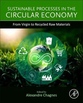 Chagnes |  Sustainable Processes in the Circular Economy | Buch |  Sack Fachmedien