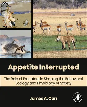 Carr |  Appetite Interrupted | Buch |  Sack Fachmedien