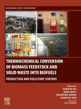 Hu / Zhou / Wang |  Thermochemical Conversion of Biomass Feedstock and Solid Waste into Biofuels | eBook | Sack Fachmedien