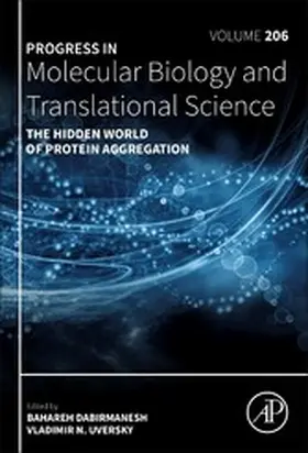 Dabirmanesh | The Hidden World of Protein Aggregation | E-Book | sack.de