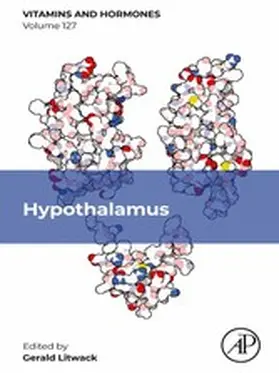 Litwack |  Hypothalamus | eBook | Sack Fachmedien