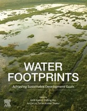Kumar / Hui / Lin |  Water Footprints | eBook | Sack Fachmedien