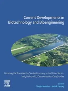 Mannina / Pandey |  Boosting the Transition to Circular Economy in the Water Sector: Insights from EU Demonstration Case Studies | eBook | Sack Fachmedien