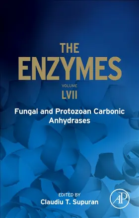  Fungal and Protozoan Carbonic Anhydrases | Buch |  Sack Fachmedien