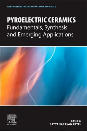 Patel |  Pyroelectric Ceramics | Buch |  Sack Fachmedien