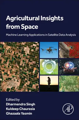 Singh / Chaurasia / Yasmin |  Agricultural Insights from Space | Buch |  Sack Fachmedien