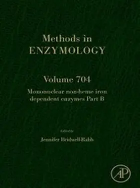 Bridwell-Rabb |  Mononuclear Non-heme Iron Dependent Enzymes Part B | eBook | Sack Fachmedien